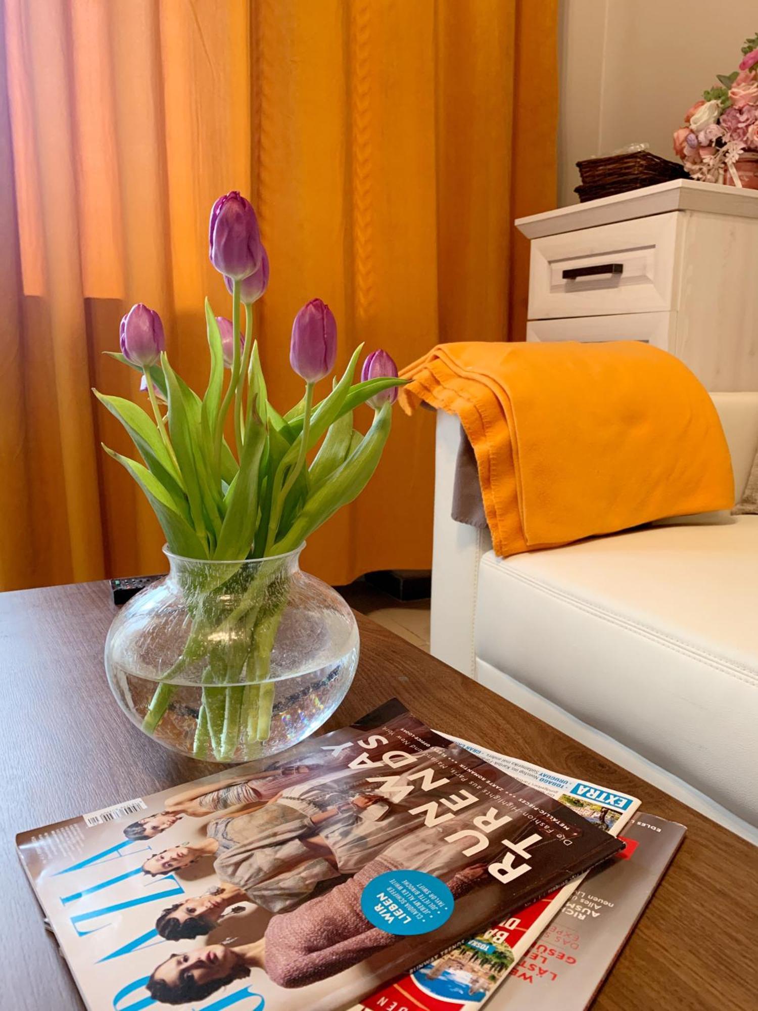 Wohnung Mitten In Der Altstadt コブレンツ エクステリア 写真